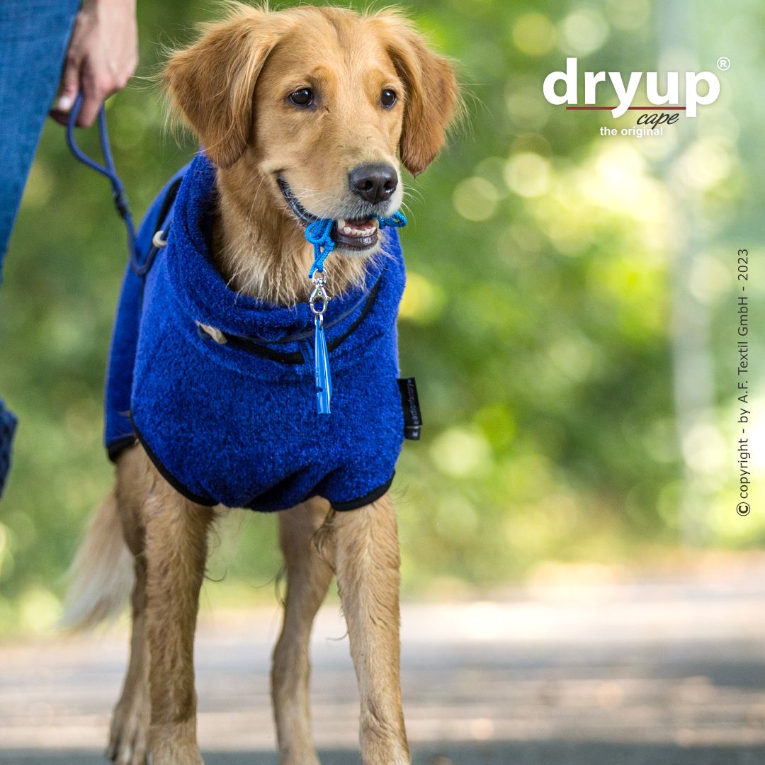 Dryup cape - Blueberry
